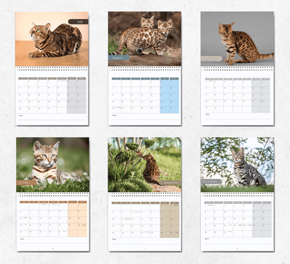 Bengal Calendar 2025