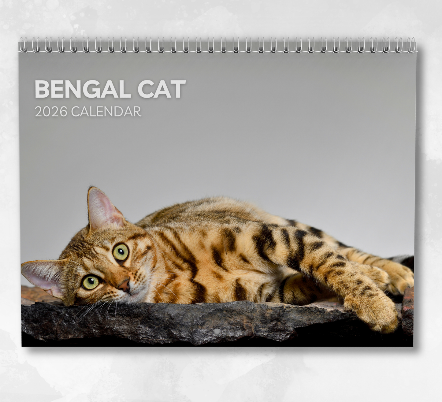 Bengal Cat Calendar 2026