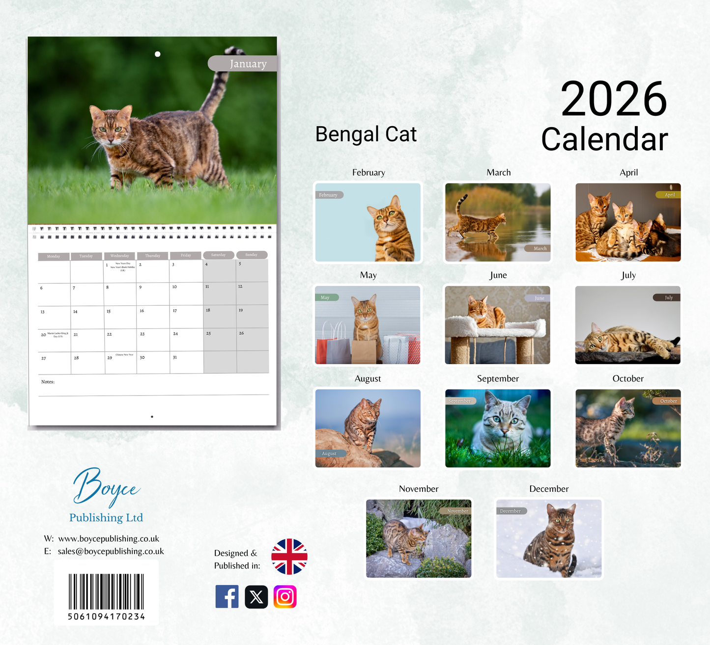 Bengal Cat Calendar 2026