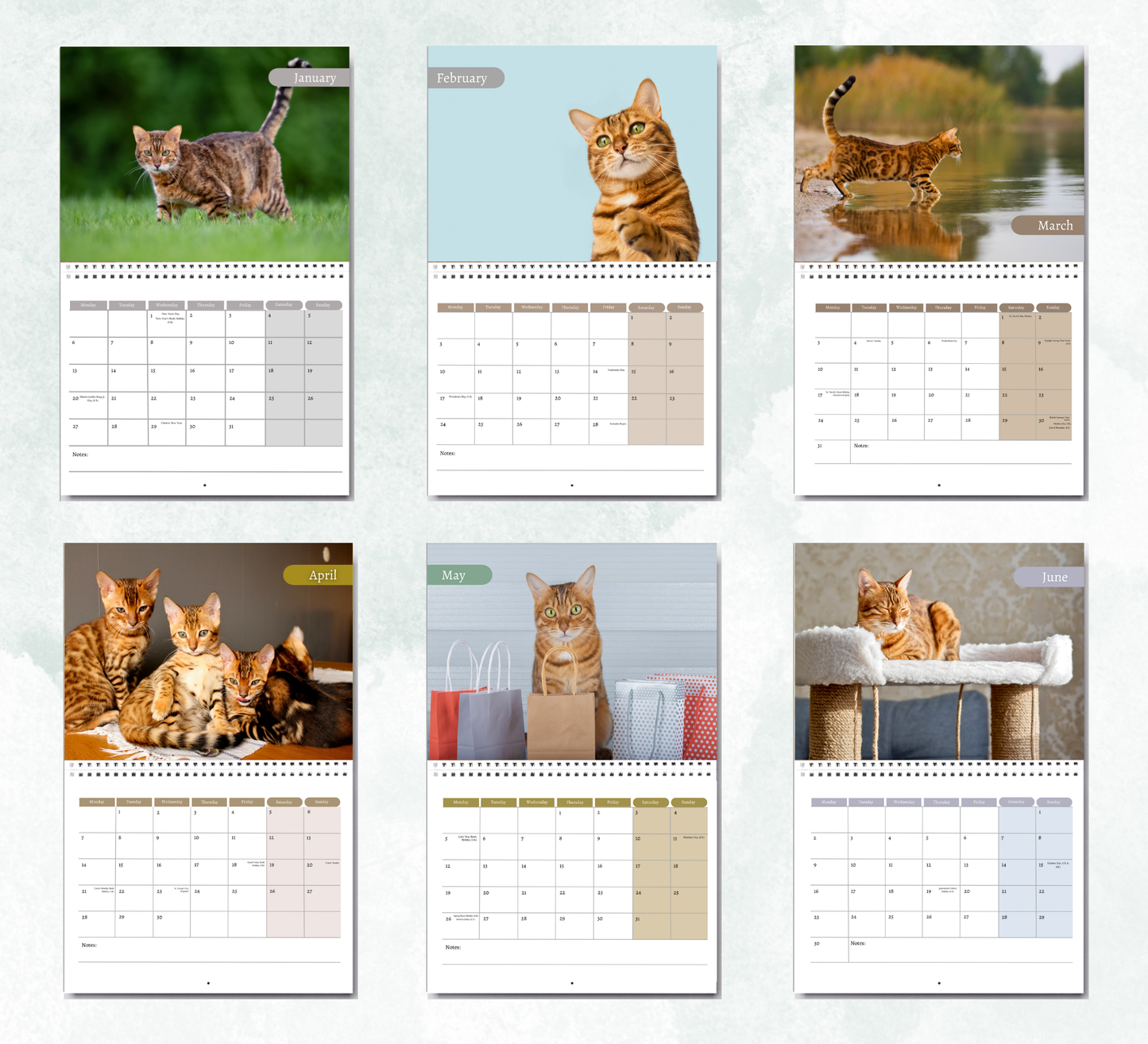 Bengal Cat Calendar 2026