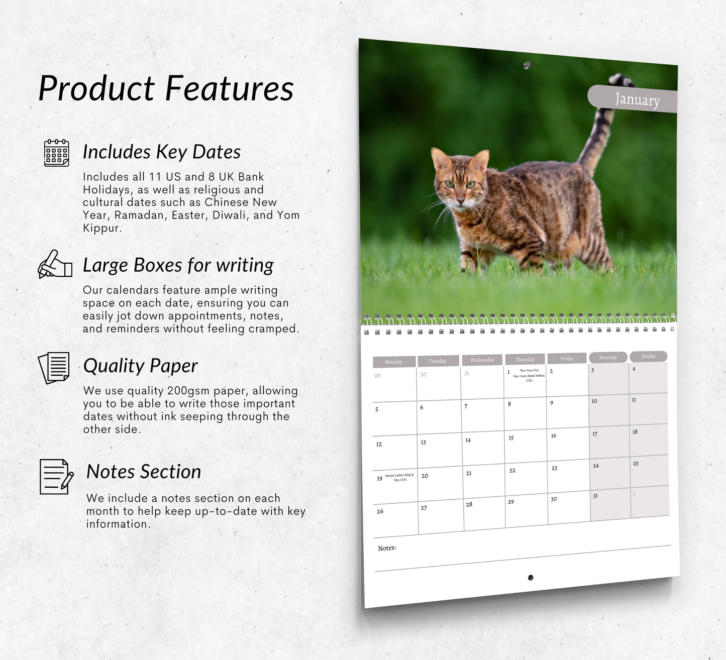 Bengal Cat Calendar 2026