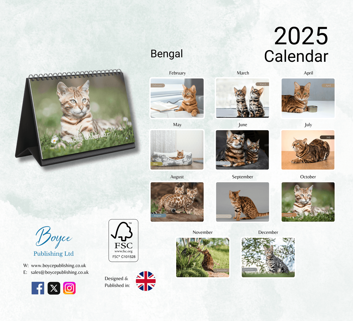 Bengal Cat Desk Calendar 2025