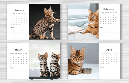 Bengal Cat Desk Calendar 2025