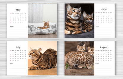 Bengal Cat Desk Calendar 2025