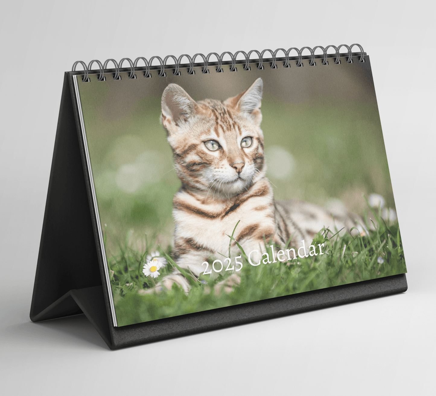 Bengal Cat Desk Calendar 2025