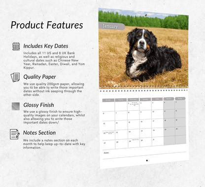 Bernese Mountain Dog Calendar 2025