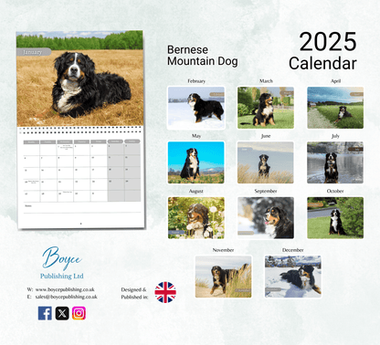 Bernese Mountain Dog Calendar 2025