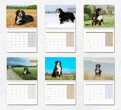 Bernese Mountain Dog Calendar 2025