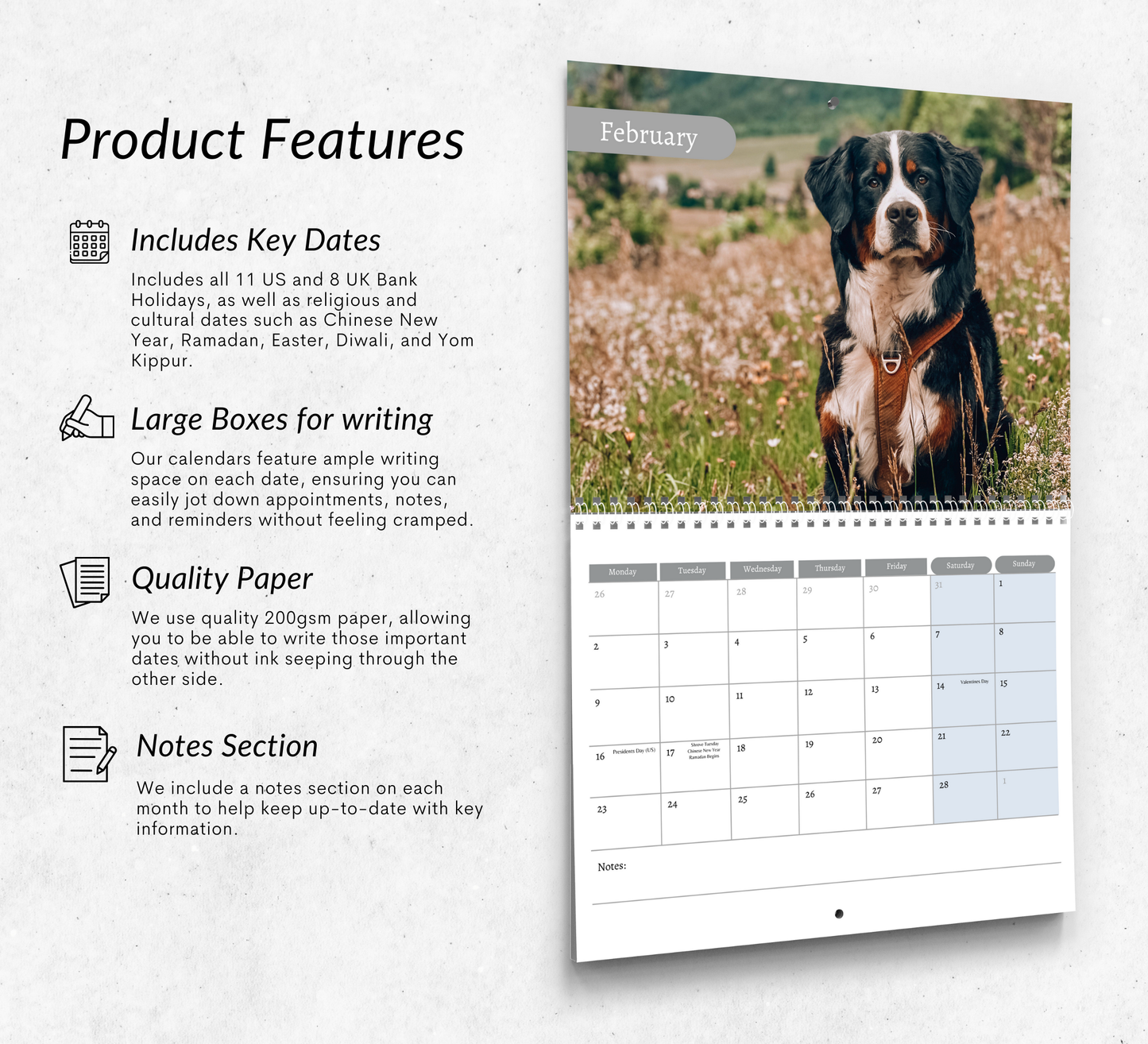Bernese Mountain Dog Calendar 2026