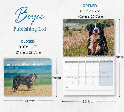 Bernese Mountain Dog Calendar 2026