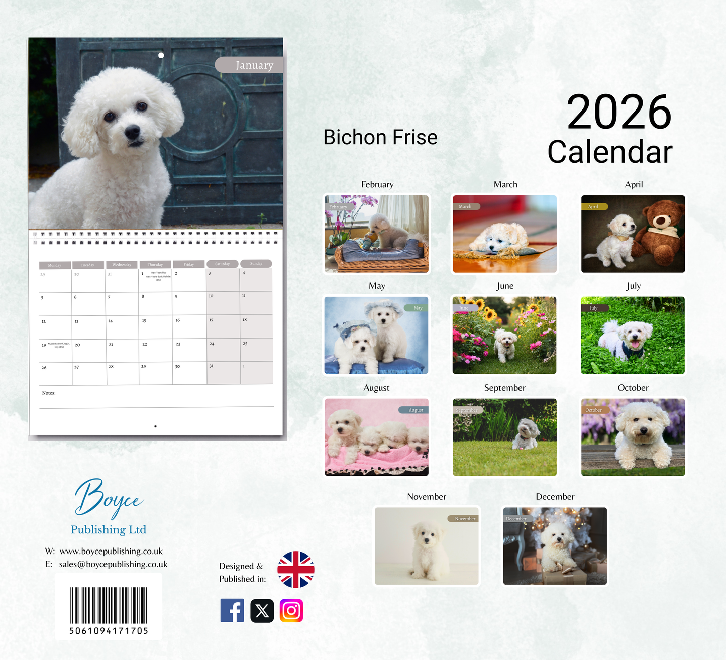 Bichon Frise Calendar 2026
