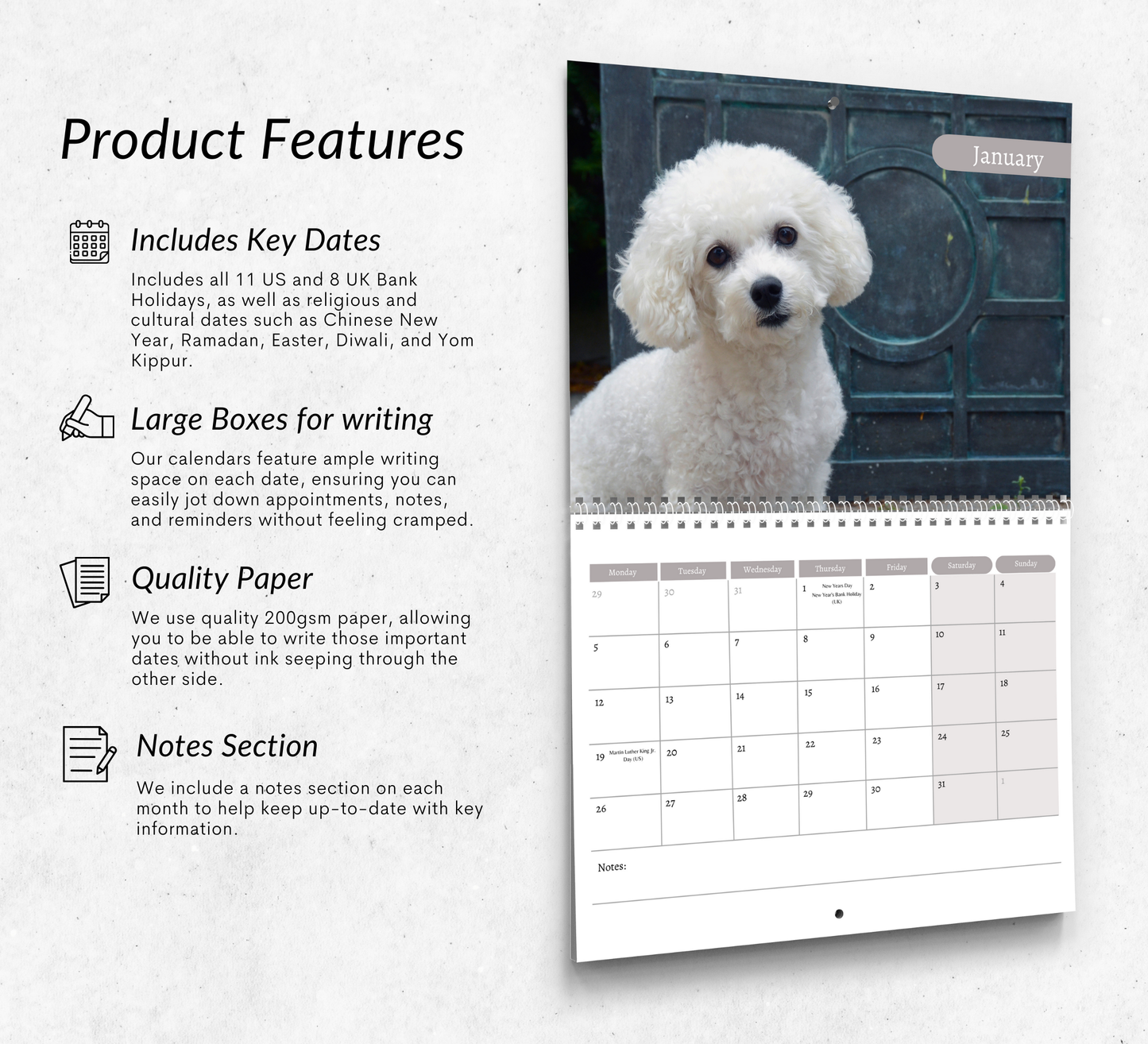 Bichon Frise Calendar 2026