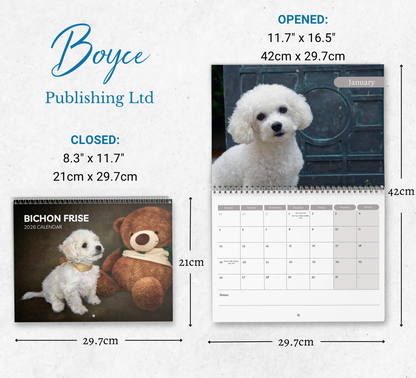 Bichon Frise Calendar 2026