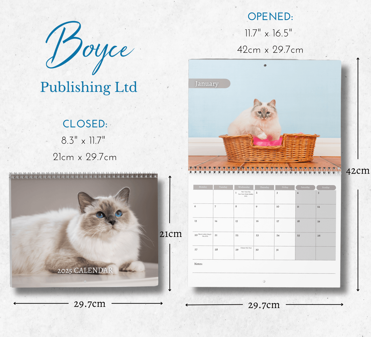 Birman Cat Calendar 2025