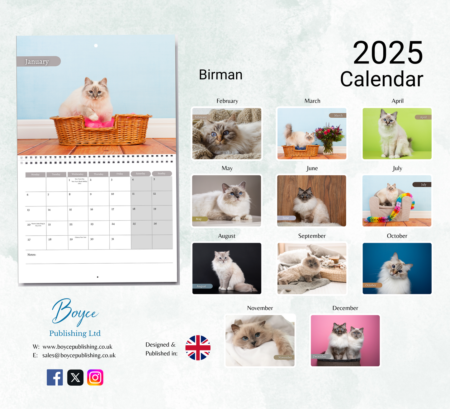 Birman Cat Calendar 2025