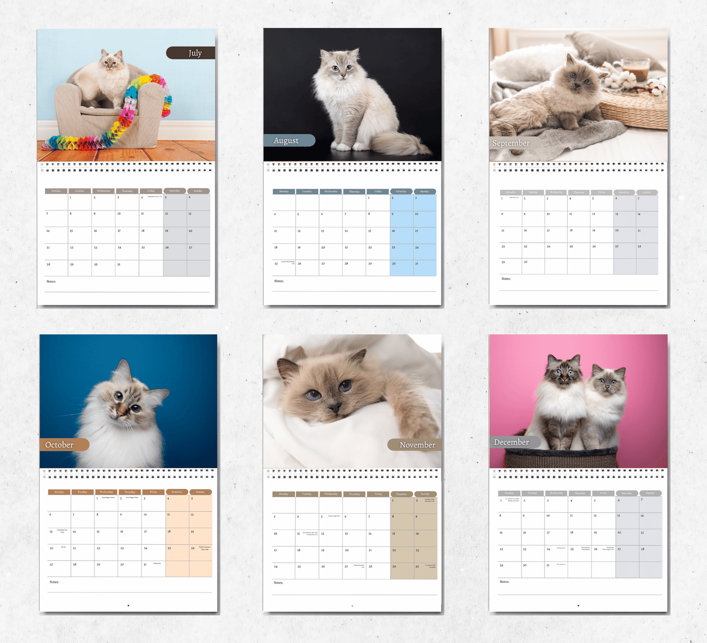 Birman Cat Calendar 2025