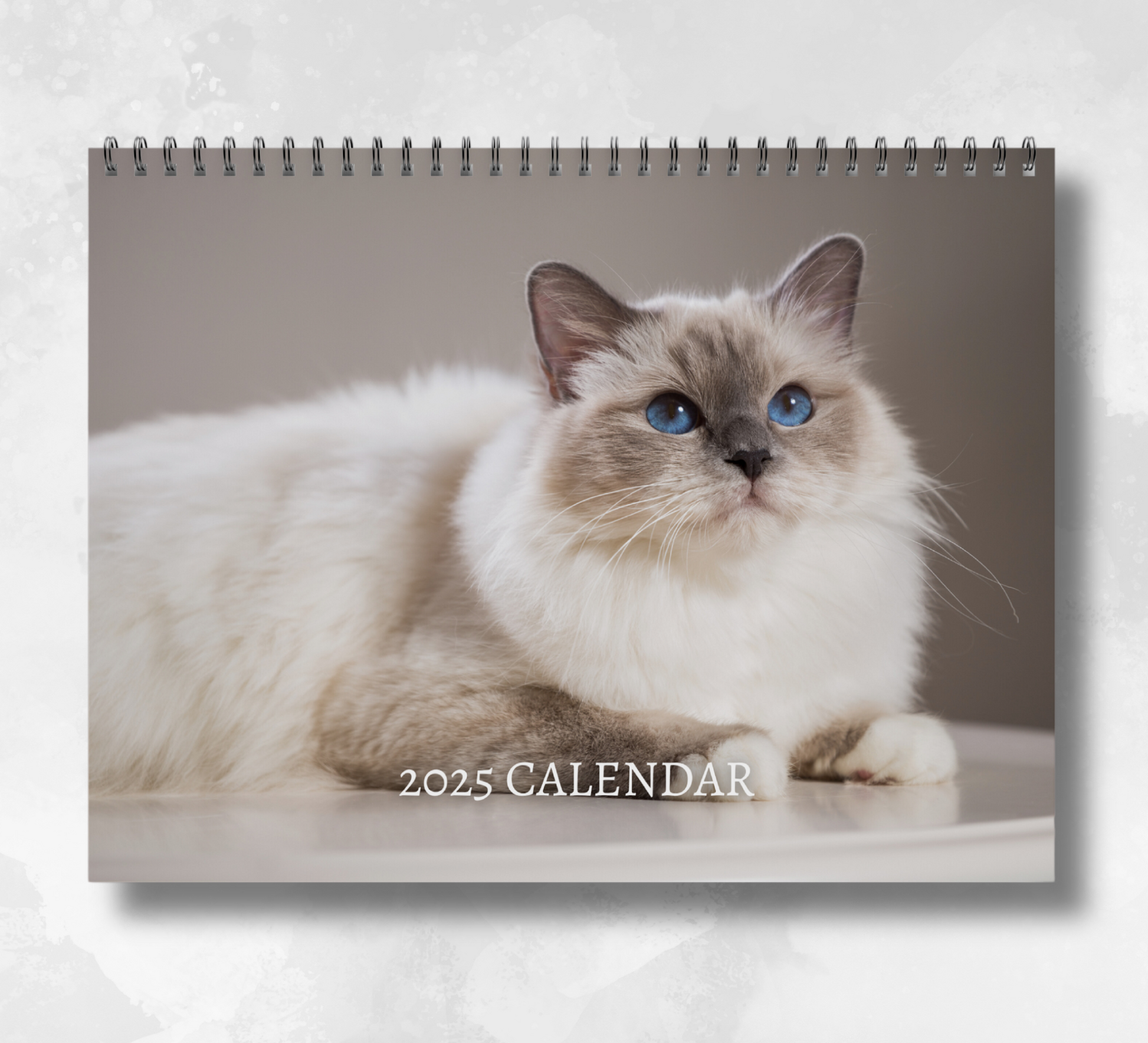 2025 Birman calendar featuring a white birman cat with a grey face and ocean blue eyes, laying down on a white circular table and a dark grey backdrop.