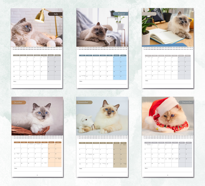 Birman Cat Calendar 2026