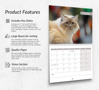 Birman Cat Calendar 2026