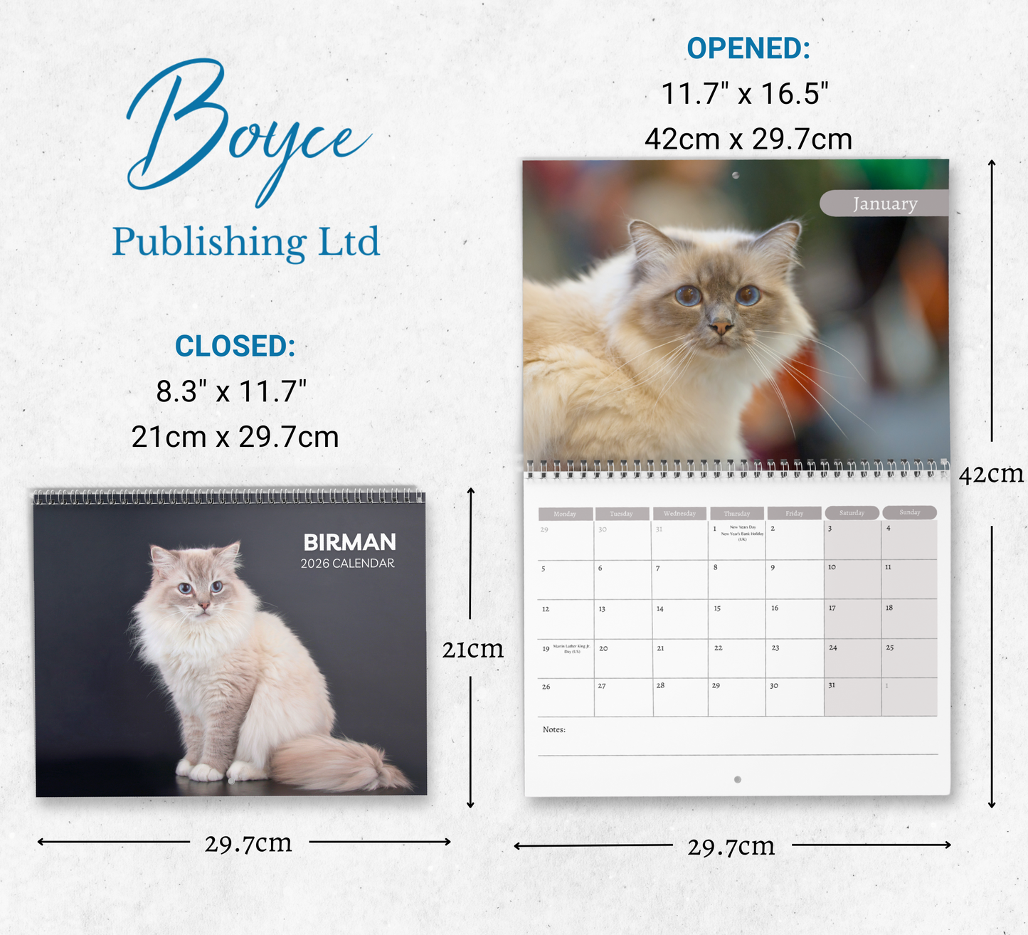 Birman Cat Calendar 2026