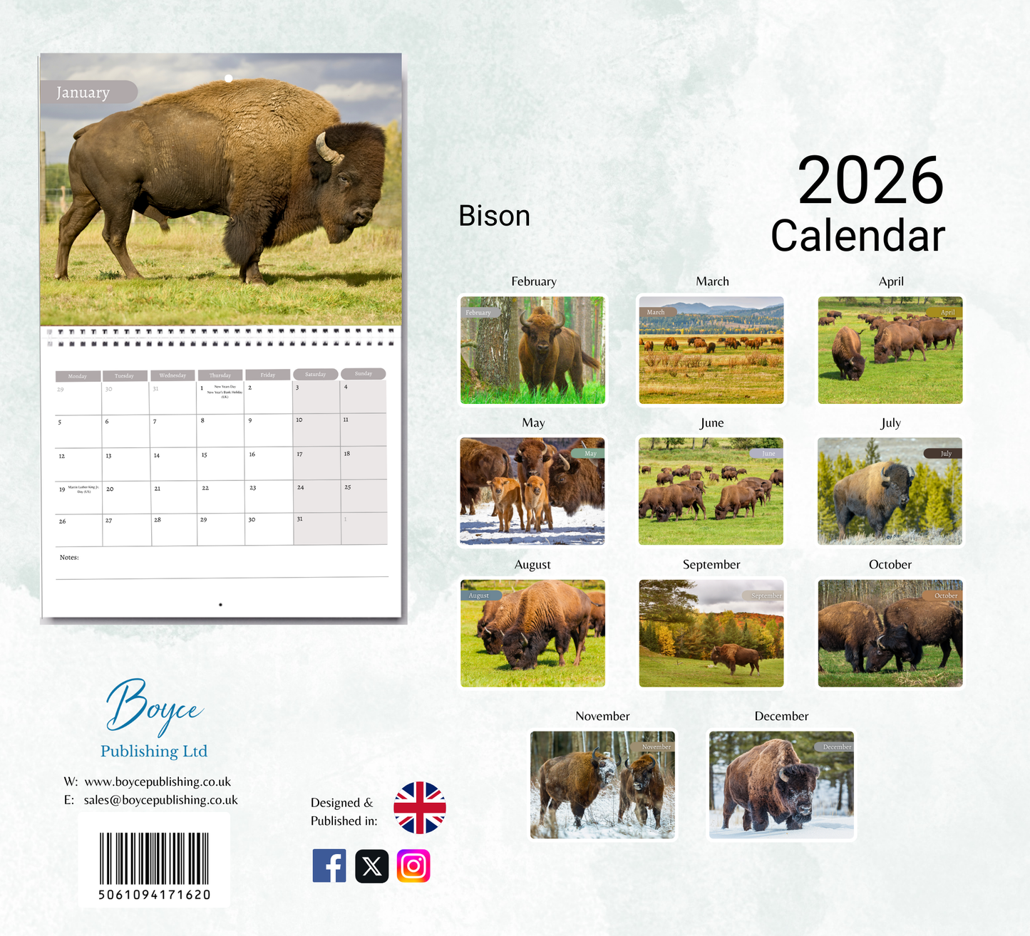 Bison Calendar 2026