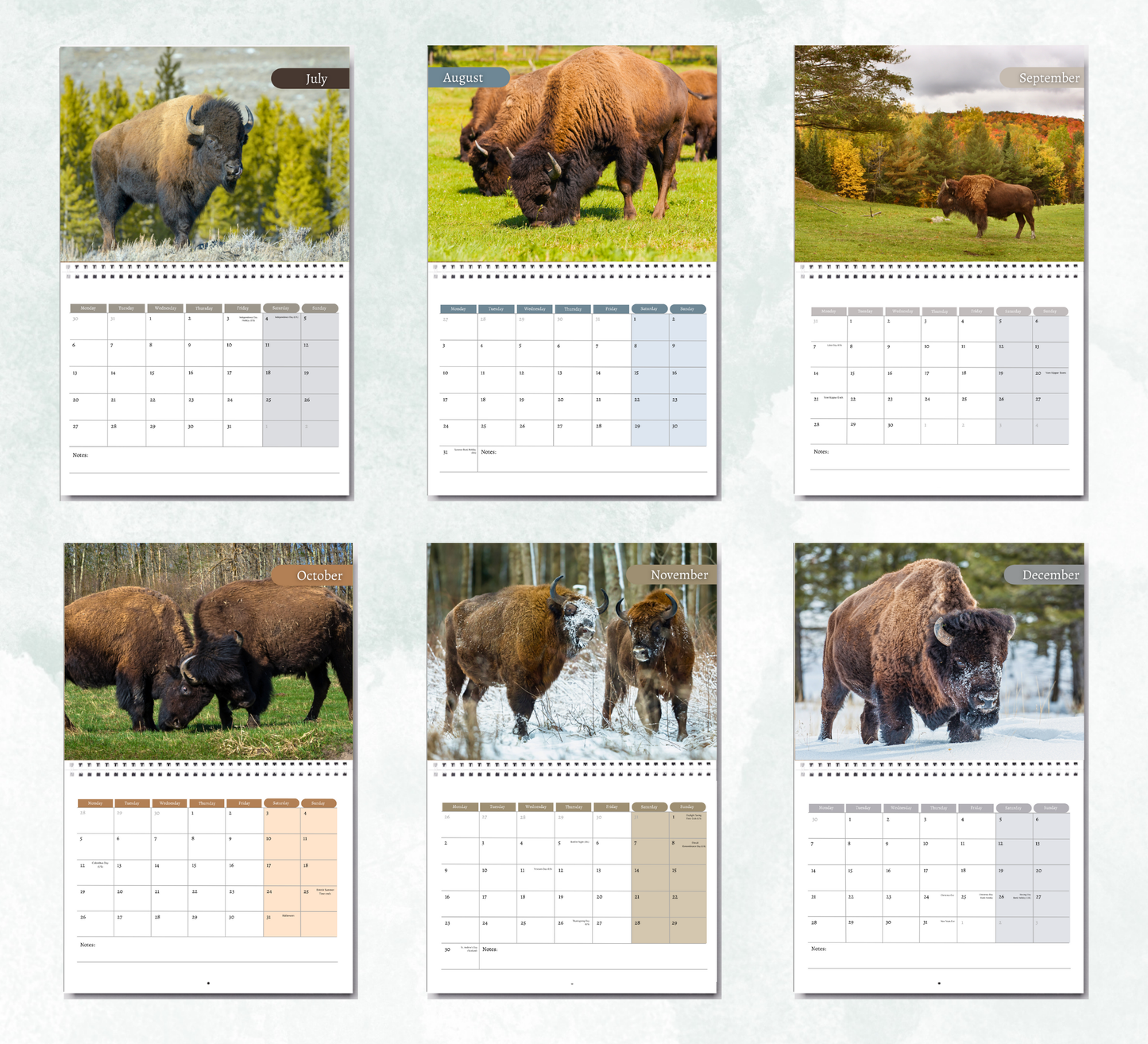 Bison Calendar 2026