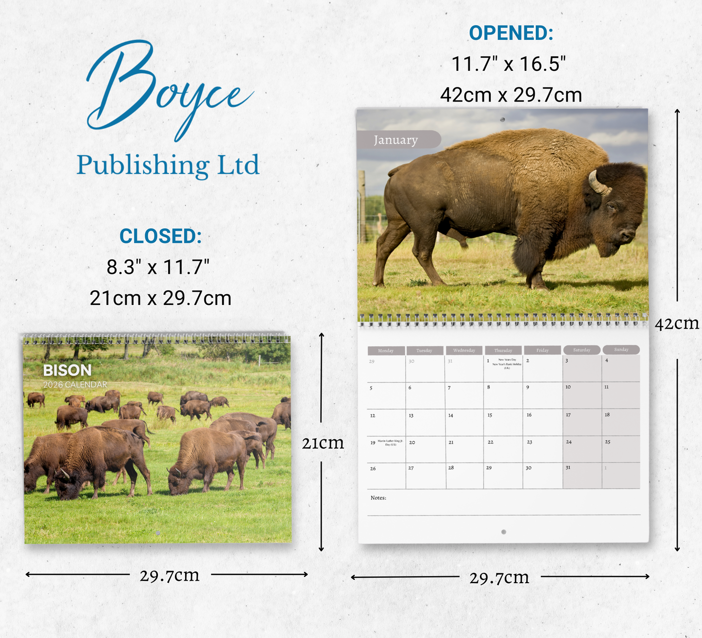 Bison Calendar 2026