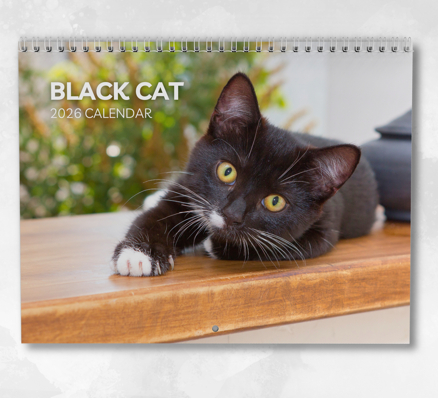 Black Cat Calendar 2026