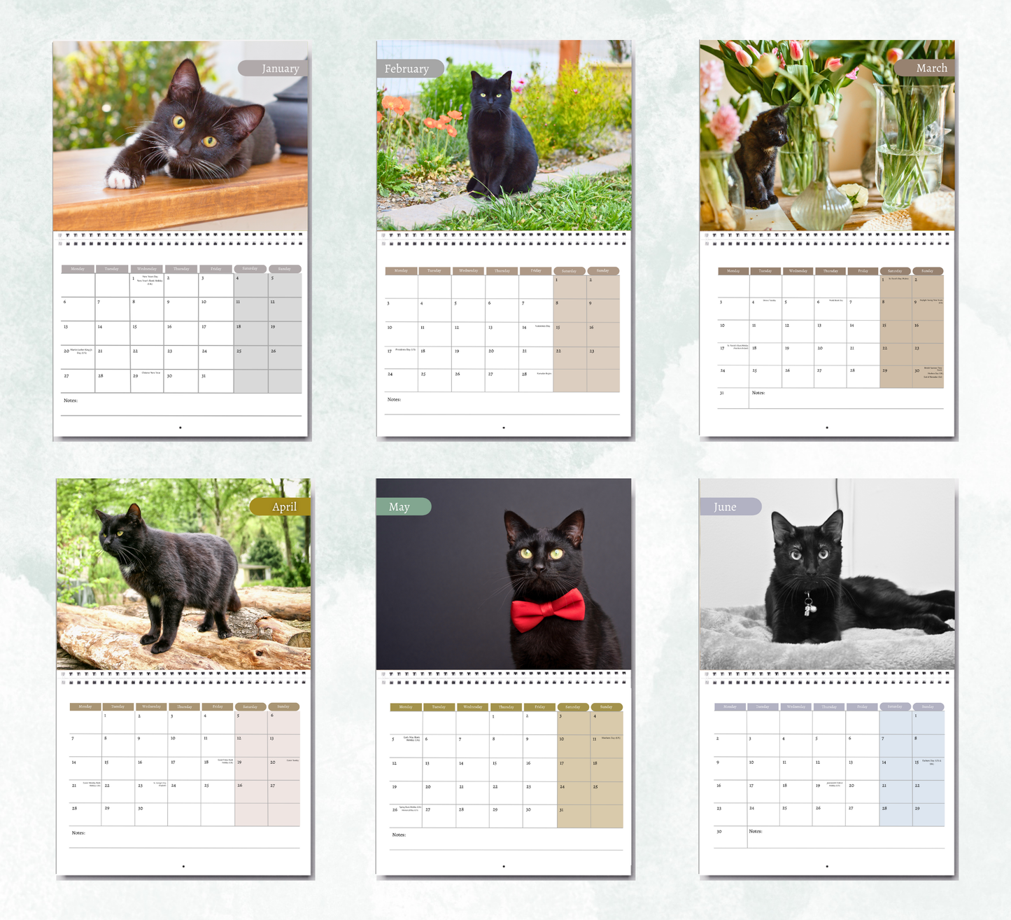 Black Cat Calendar 2026