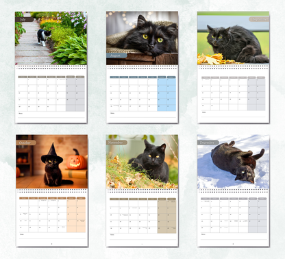 Black Cat Calendar 2026