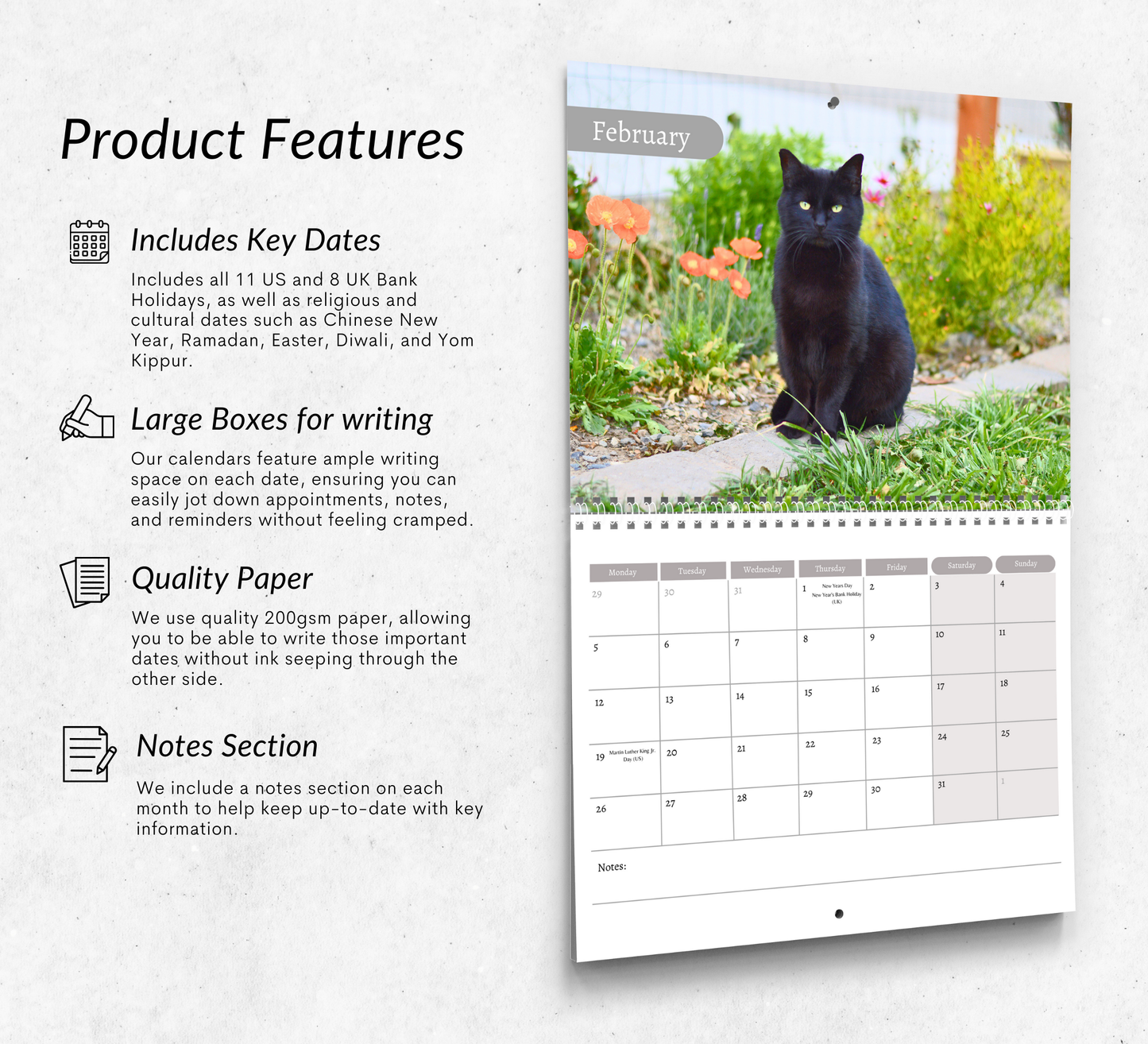 Black Cat Calendar 2026