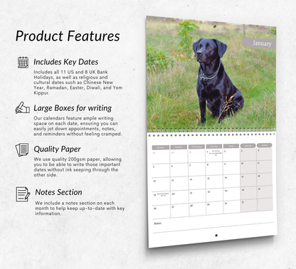 Black Labrador Calendar 2026