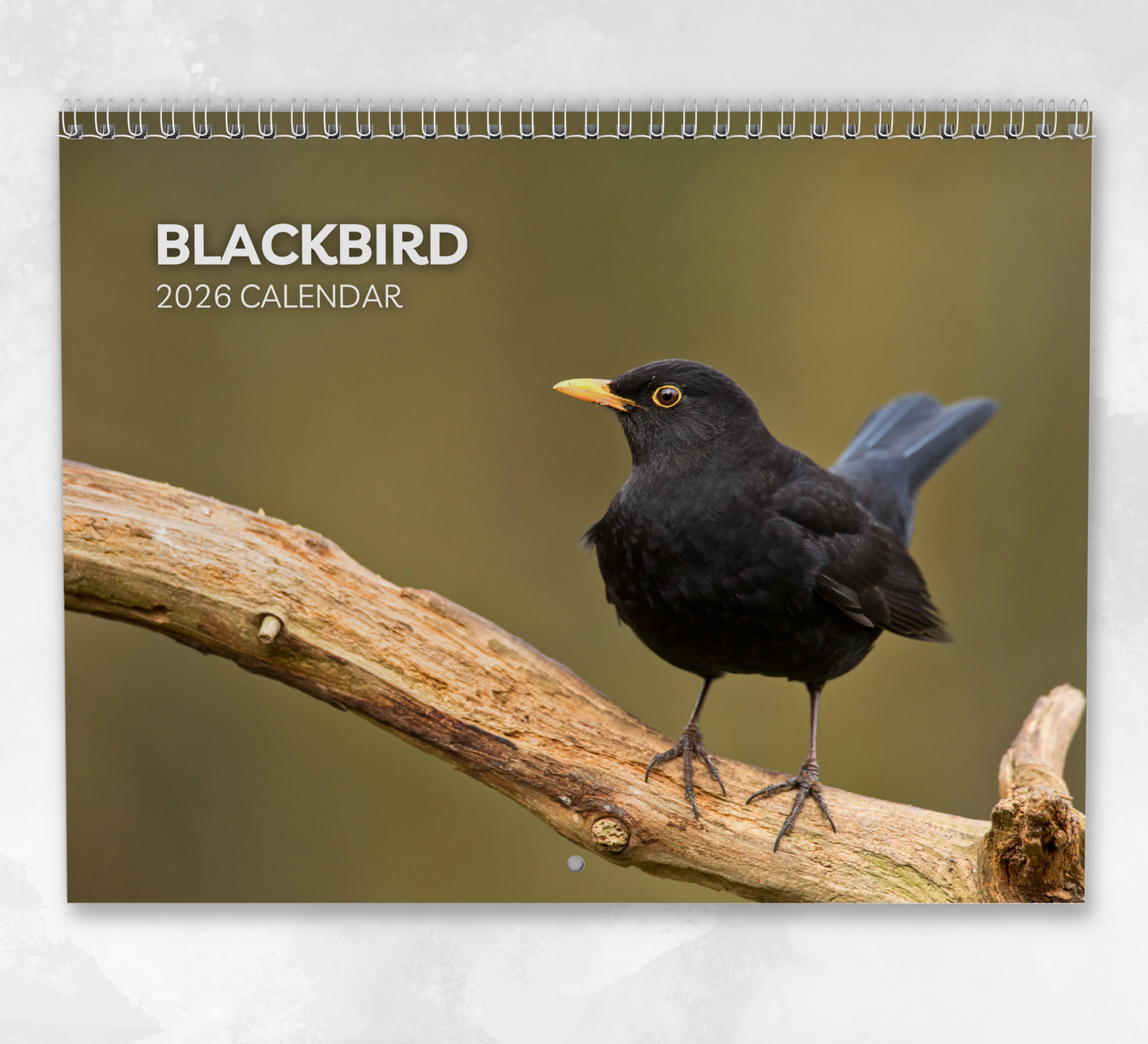Blackbird Calendar 2026