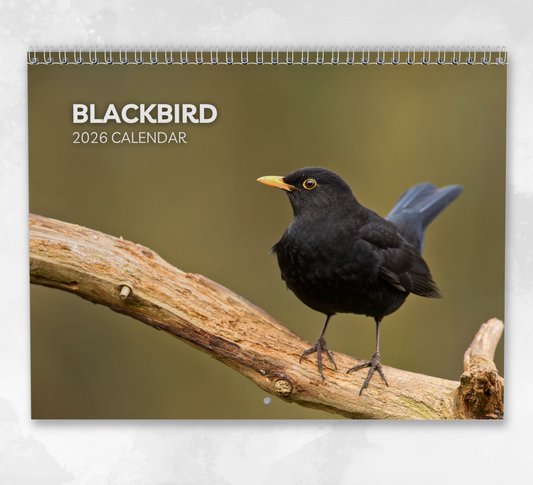 Blackbird Calendar 2026