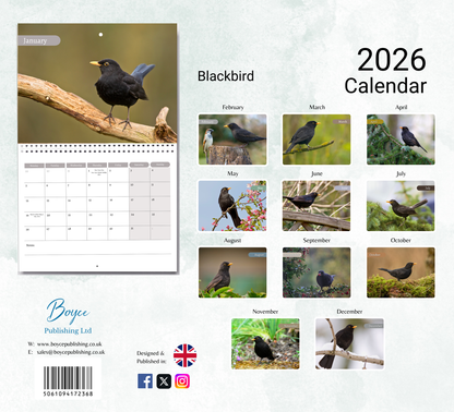 Blackbird Calendar 2026