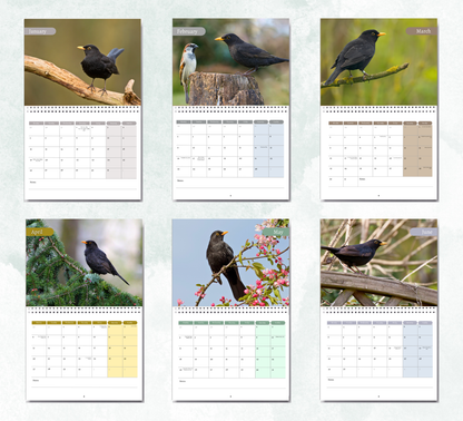 Blackbird Calendar 2026