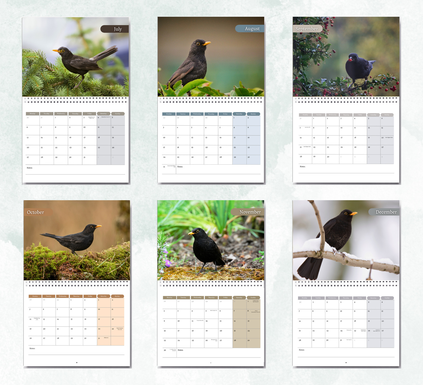 Blackbird Calendar 2026