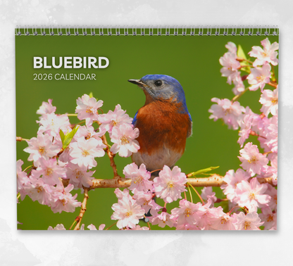 Bluebird Calendar 2026