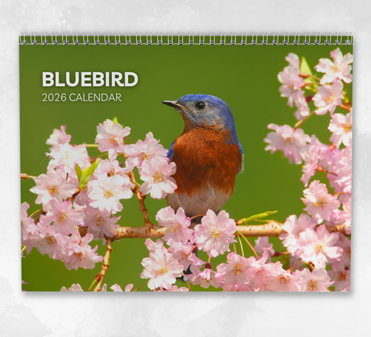 Bluebird Calendar 2026