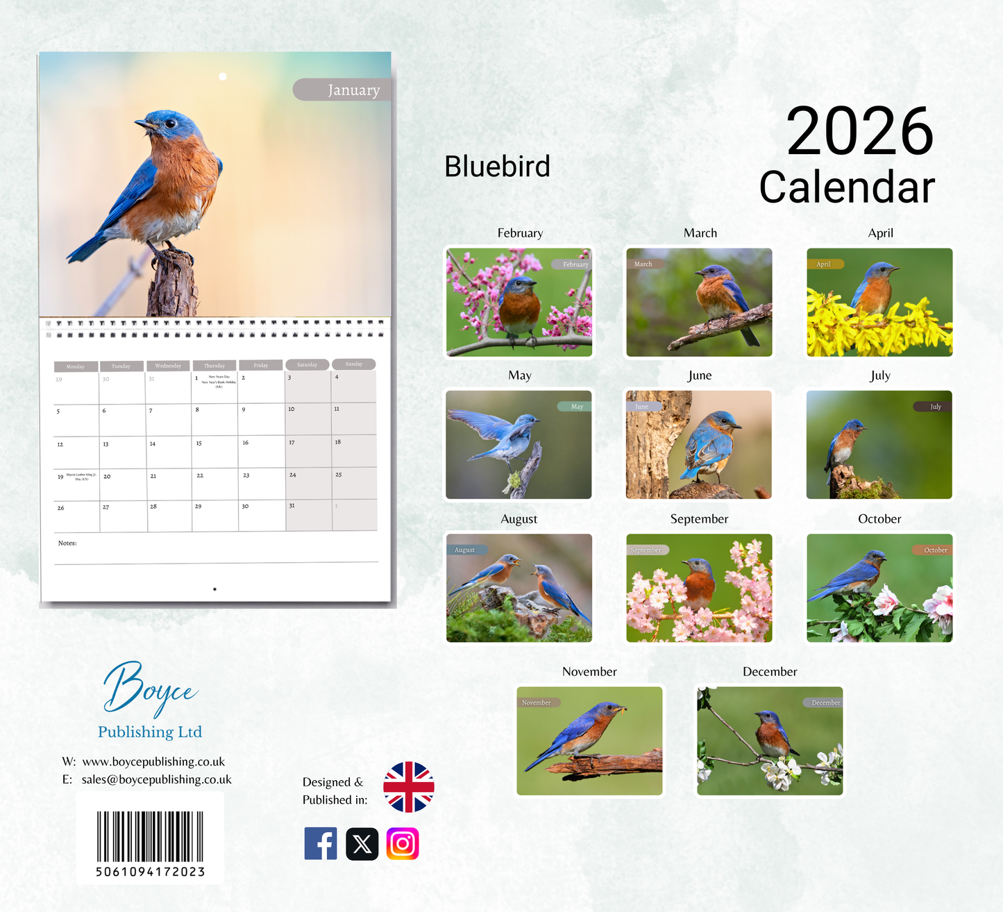 Bluebird Calendar 2026