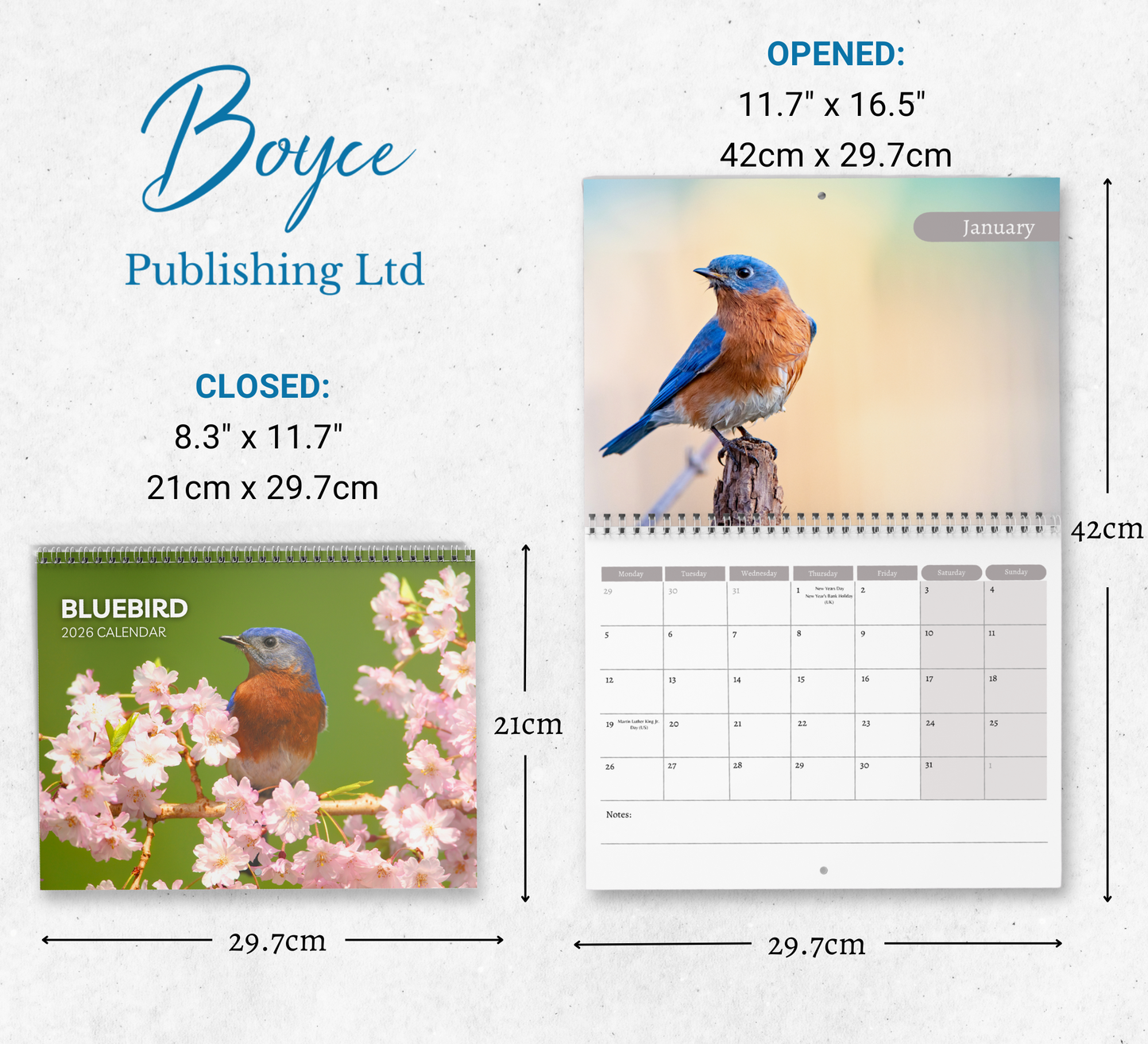 Bluebird Calendar 2026