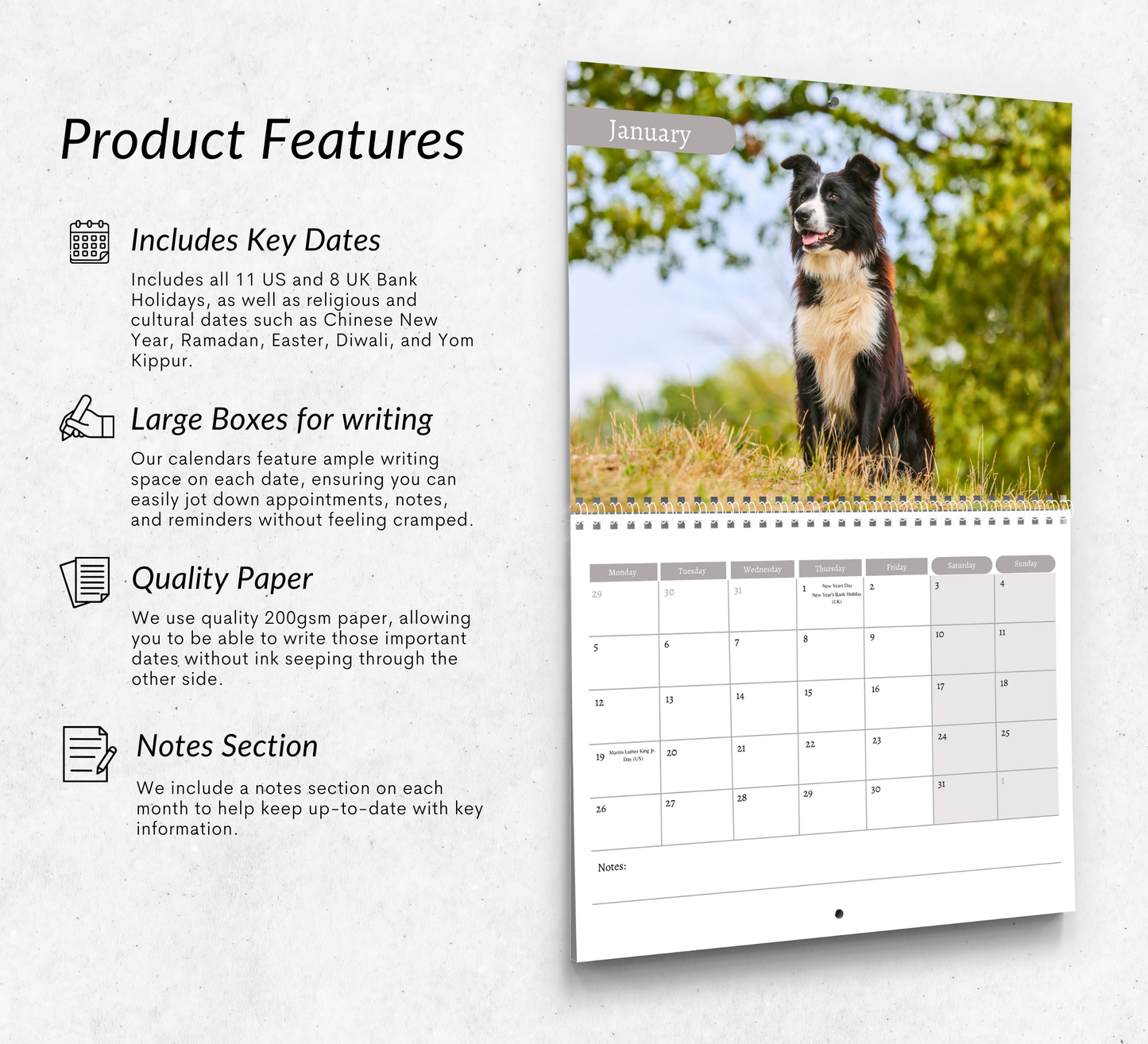 Border Collie Calendar 2026