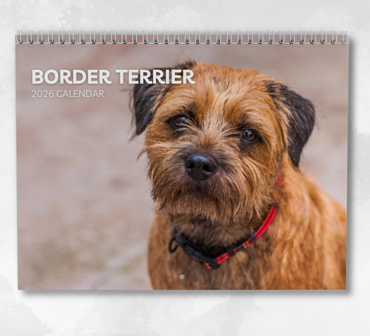 Border Terrier Calendar 2026