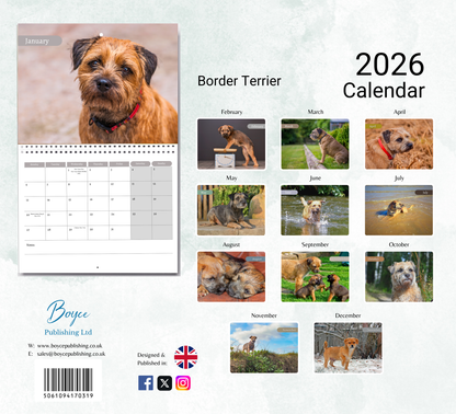 Border Terrier Calendar 2026