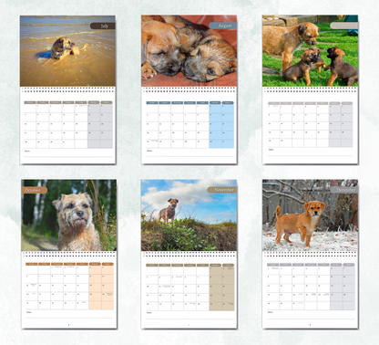 Border Terrier Calendar 2026