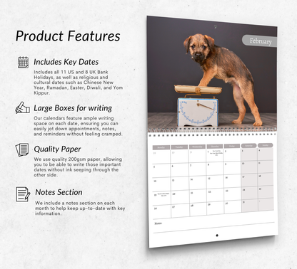 Border Terrier Calendar 2026