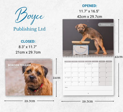Border Terrier Calendar 2026