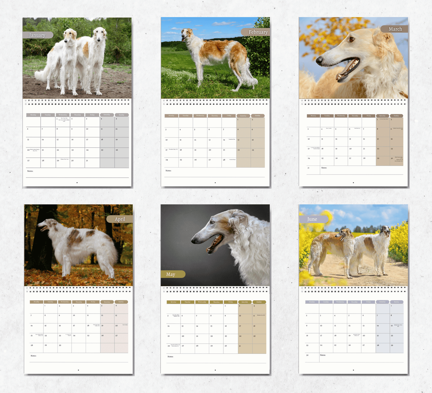 Borzoi Calendar 2025