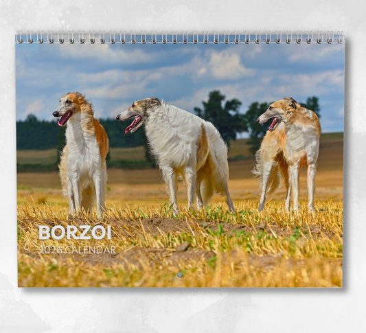 Borzoi Calendar 2026