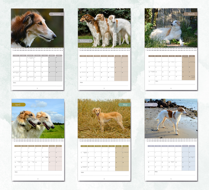 Borzoi Calendar 2026